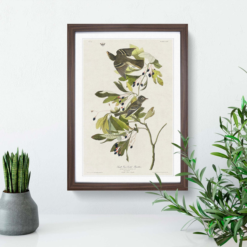 Green-Crested Flycatcher by John Audubon - Picture Frame Painting Print, 48cm H x 36cm W x 2cm D, Walnut Framed