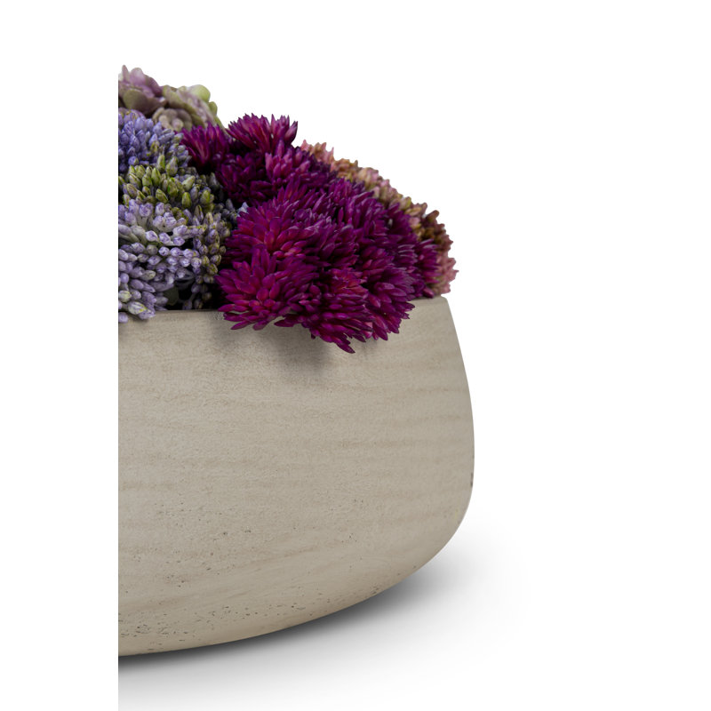 Georgina Sedum Artificial Succulent Floral Arrangement in Pot, Ash
