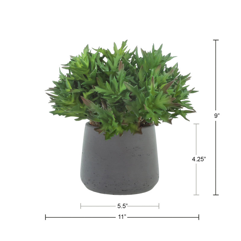 Agave disposée en pot de Fiberstone