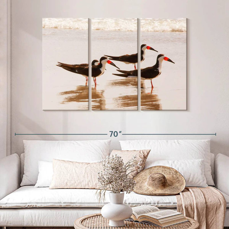 Brampt A Few Black Skimmers I, H 32 po x l 50 po