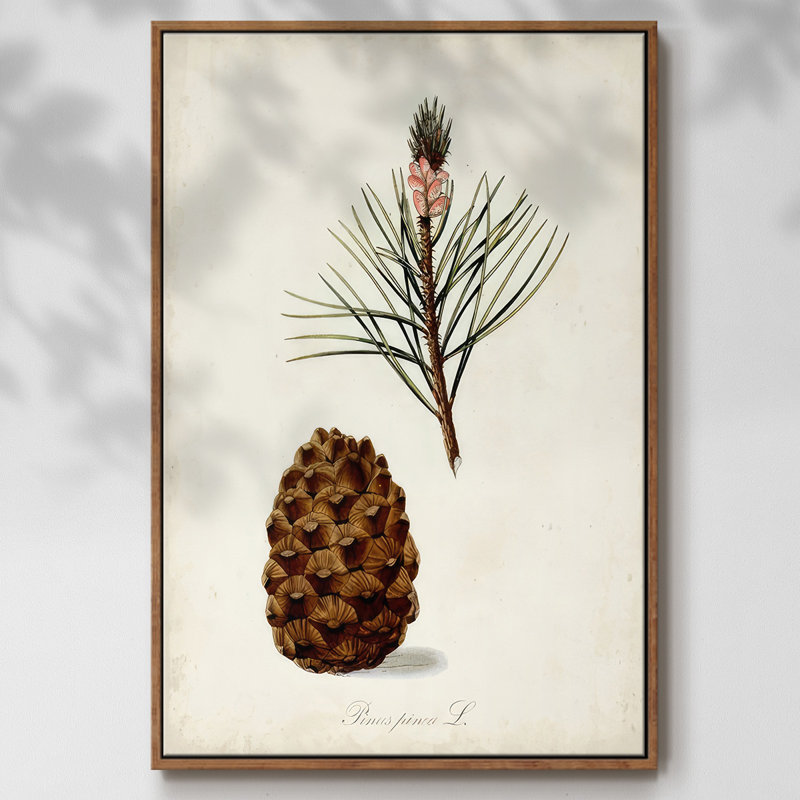 Étude d'arbre antique V, H 37 po x l 25 po x P 1,5 po, Cadre noyer