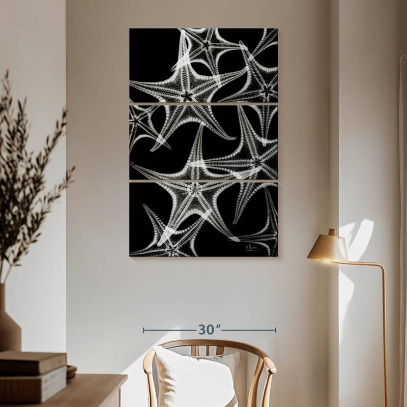 Brampt White Starfish, 65" H x 42" W