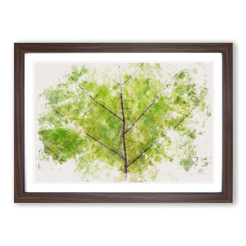 Lines of the Leaf Watercolour - Picture Frame Graphic Art Print, 24cm H x 33cm W x 2cm D, Walnut Framed