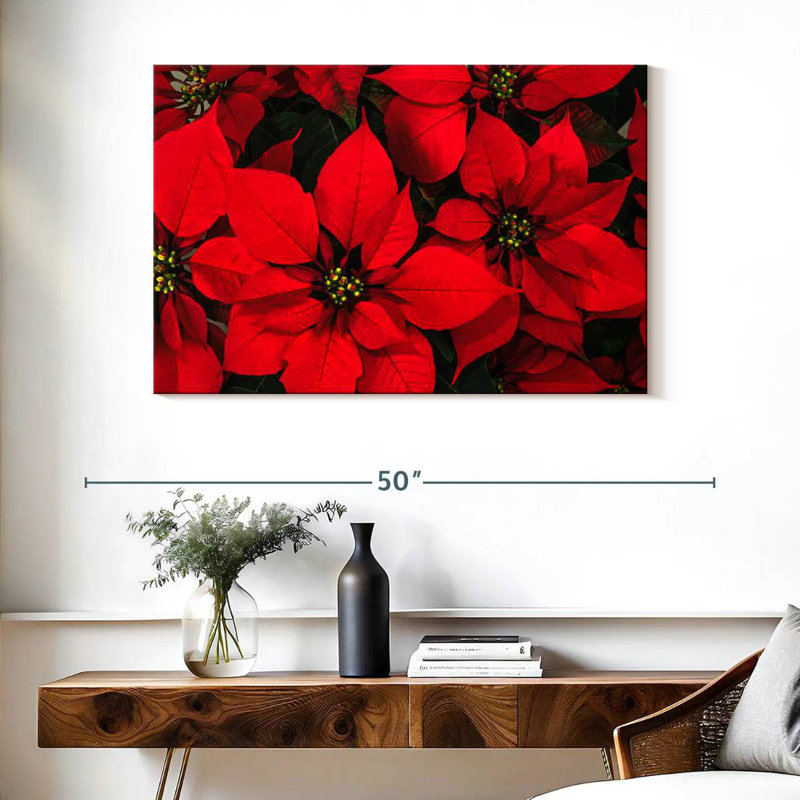 Harnek cramoisi poinsettia, H 26 po x l 39 po