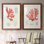 «Vintage Coral Study III», reproduction encadrée de qualité supérieure - prête à accrocher