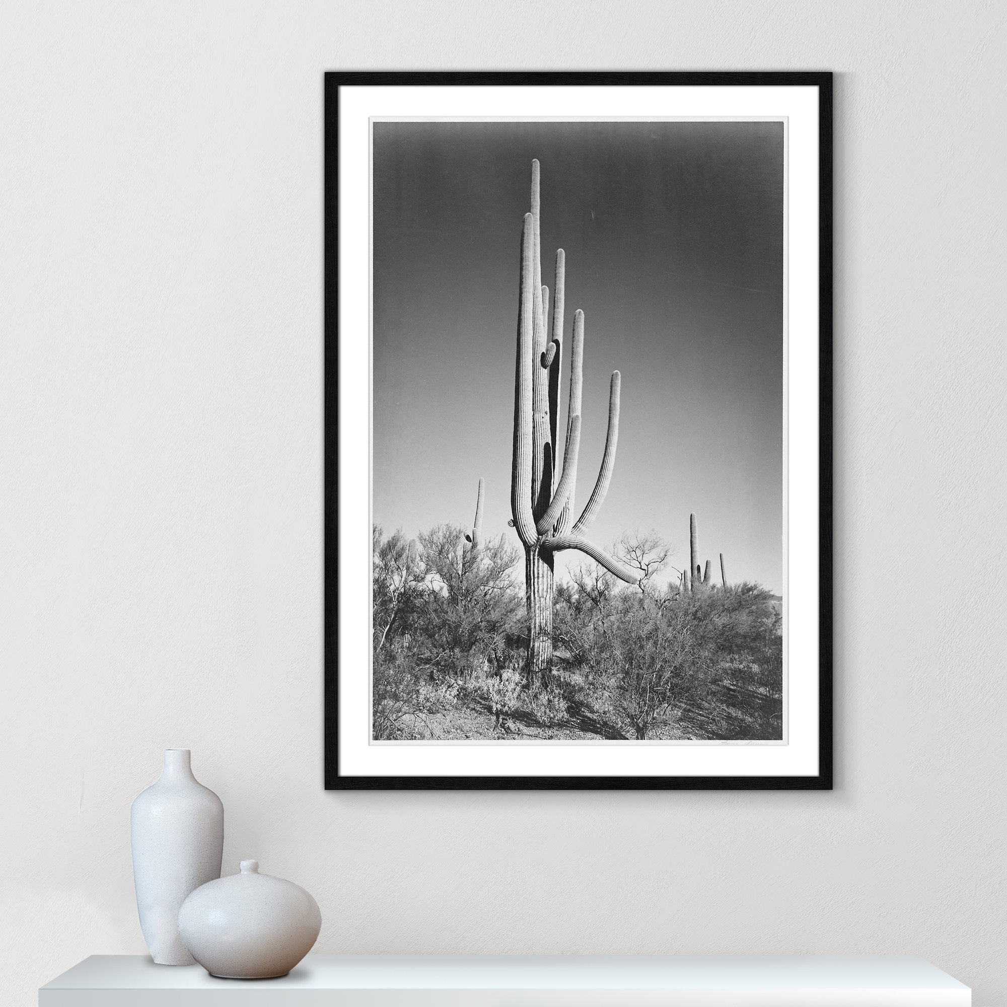 Cactus In Saguaro National Monument In Arizona by Ansel Adams, 41.5" H x 29.5" W x 0.75" D, Black
