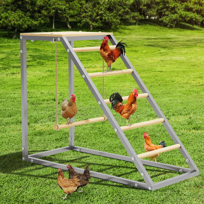 Perchoir à poulet avec échelle en bois, perchoirs en métal pour poulailler, poulailler facile à nettoyer pour les poulets de basse-cour