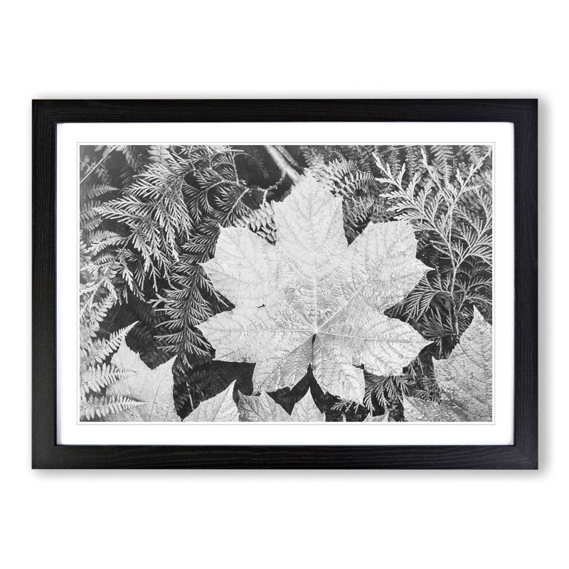Ansel Adams - Single Picture Frame Print, Black