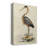 " Antique Heron I " Painting Print-1400826520