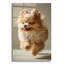  «Cute Fluffy Pomeranian 2» par Ann Klee, art mural en verre acrylique, 24 po x 36 po-847644119