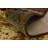 Adetomiwa Abstract Indoor Rug-22017618