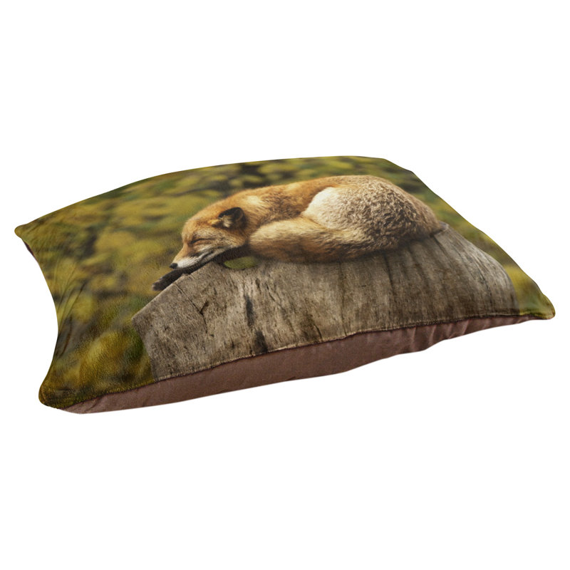 Coussin de lit pour l’extérieur pour le lit chat fox sleep Burien, L 32,5 po x l 42,5 po, Marron foncé