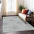 Machine Washable Indoor/Outdoor Chantille ACN2566 Damask Rug-433077164-433077158