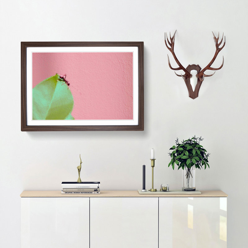 Red Ant - Picture Frame Photograph Print, 48cm H x 65cm W x 2cm D, Walnut Framed