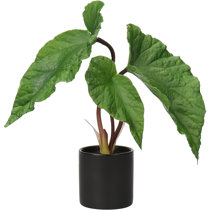 Wayfair  Snake plant Faux Plants You'll Love in 2024
