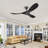 Black Soild Wood Ceiling Fan-1402083507
