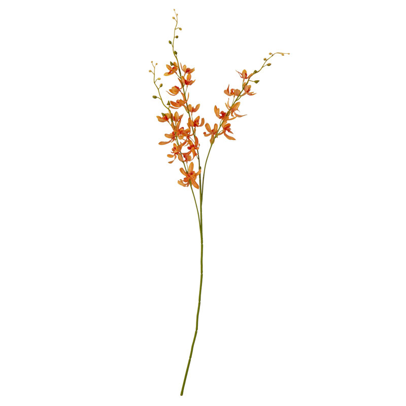 Anastasija Arrangement, Orange