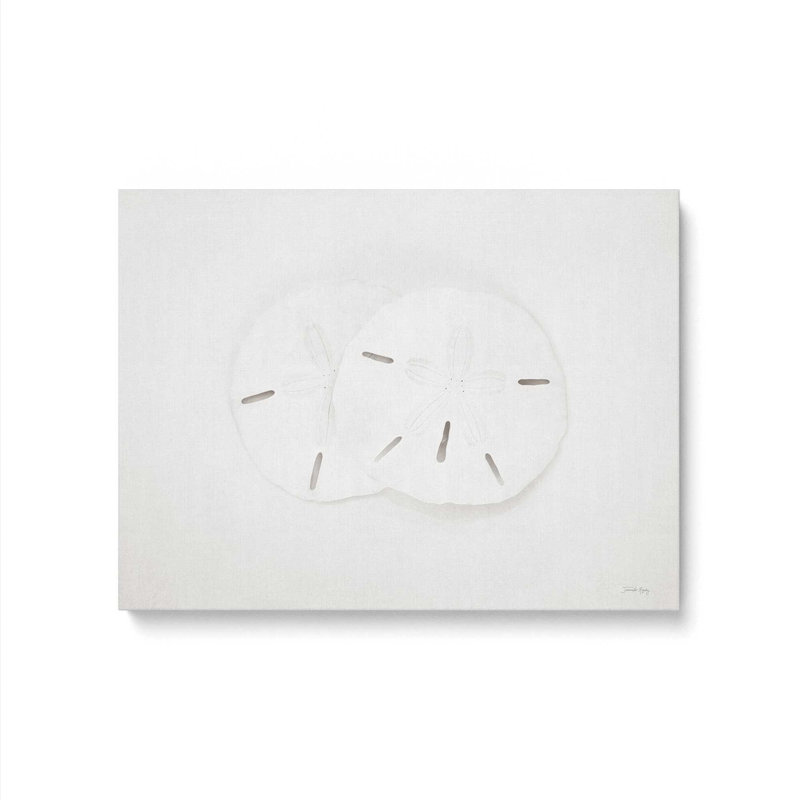 «Vintage Sand Dollars» par Jennifer Rigsby, reproduction d'art, Toile non encadrée, Ne s’applique pas, L 16 po x H 12 po