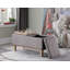 Banc de rangement rembourré Rafal-24426034