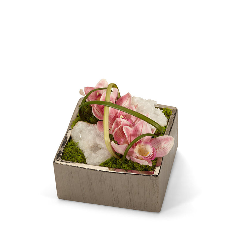 Orchid Preserved Orchid Arrangement in Planter