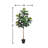 Weatherhill Elspeth Fiddle Leaf Fig Tree Drop-In