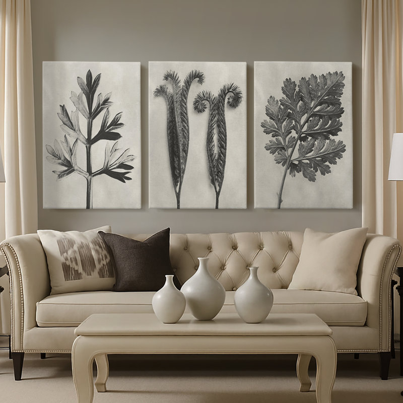Blossfeldt Botanical I  -Custom Wrapped Gallery Canvas - 3 Pieces, 12" H x 24" W