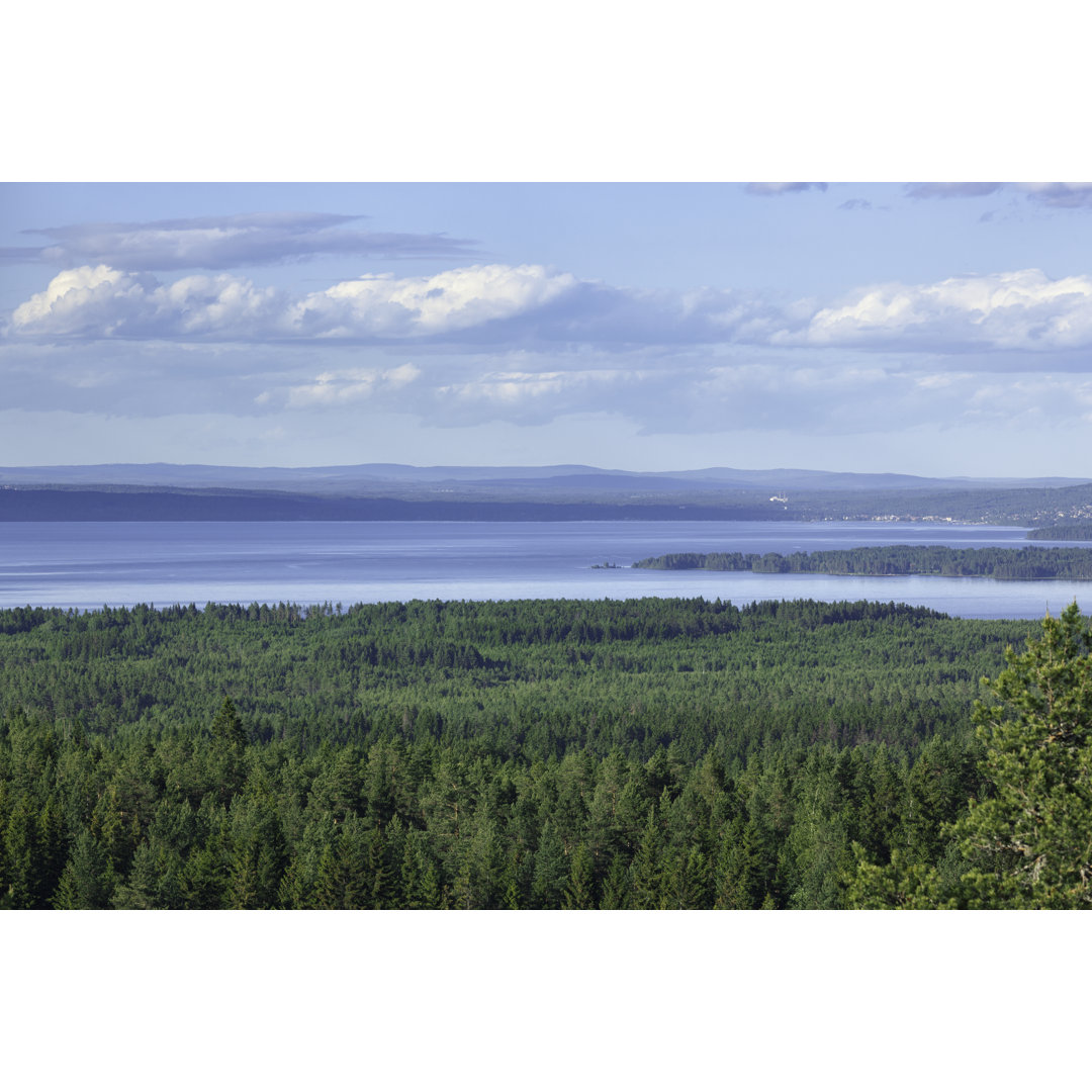 Waldlandschaft in Dalarna von LordRunar - Kunstdrucke auf Leinwand