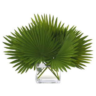 Fan Palm, Green, Glass Cube, 22wx15dx16h