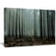 «Gloomy Sunrays in Dark Forest», reproduction de photo sur toile tendue-20880062