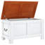 Camp Trunk / Footlocker-600967068