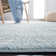 Olius Performance Oriental Rug