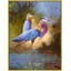 Birds-289796318-289796307