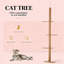 Arbre à chat, centre d'activités pour arbre à chat