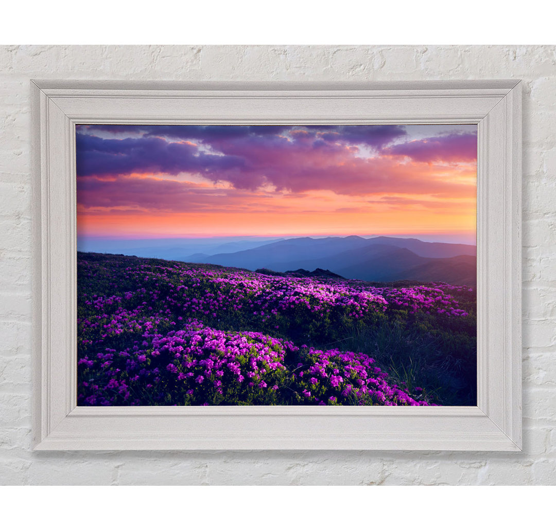 Purple Meadow Mountains Gerahmter Druck