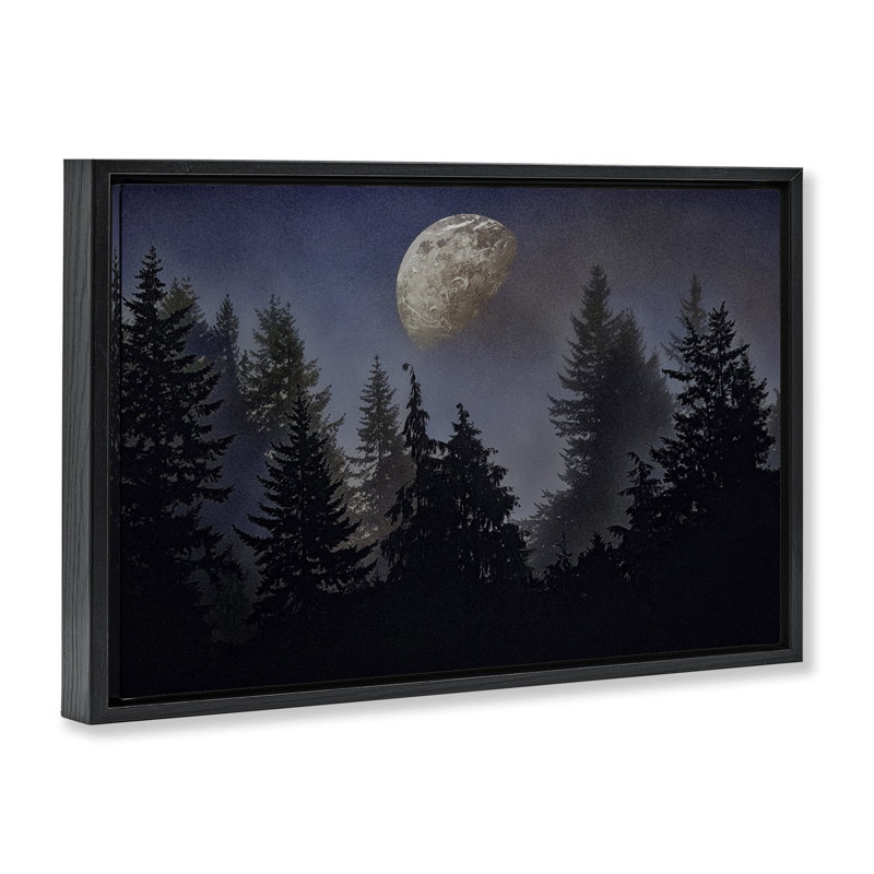 Cadre flottant Love And The Moon, design par Sophie 6, Cadre flottant noir de jais, H 17 po x l 25 po