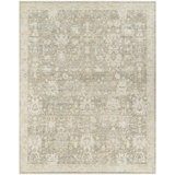 Once Upon A Time Wool Oriental Area Rug