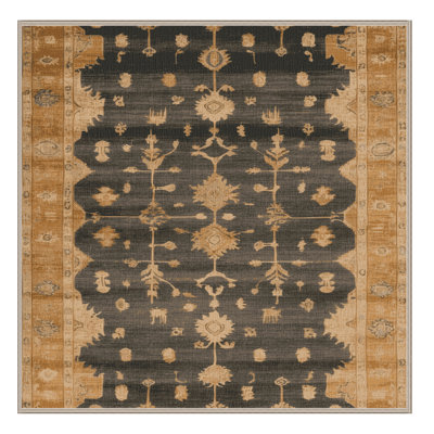 Machine Washable Overdyed Brown Area Rug