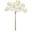 36" Artificial White Phalaenopsis Orchid Stems