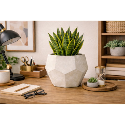 Jardinière courte en quartz 8,5 po