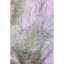Tapis mauve Premium lavable à la machine Cerrito AMF505-103837724