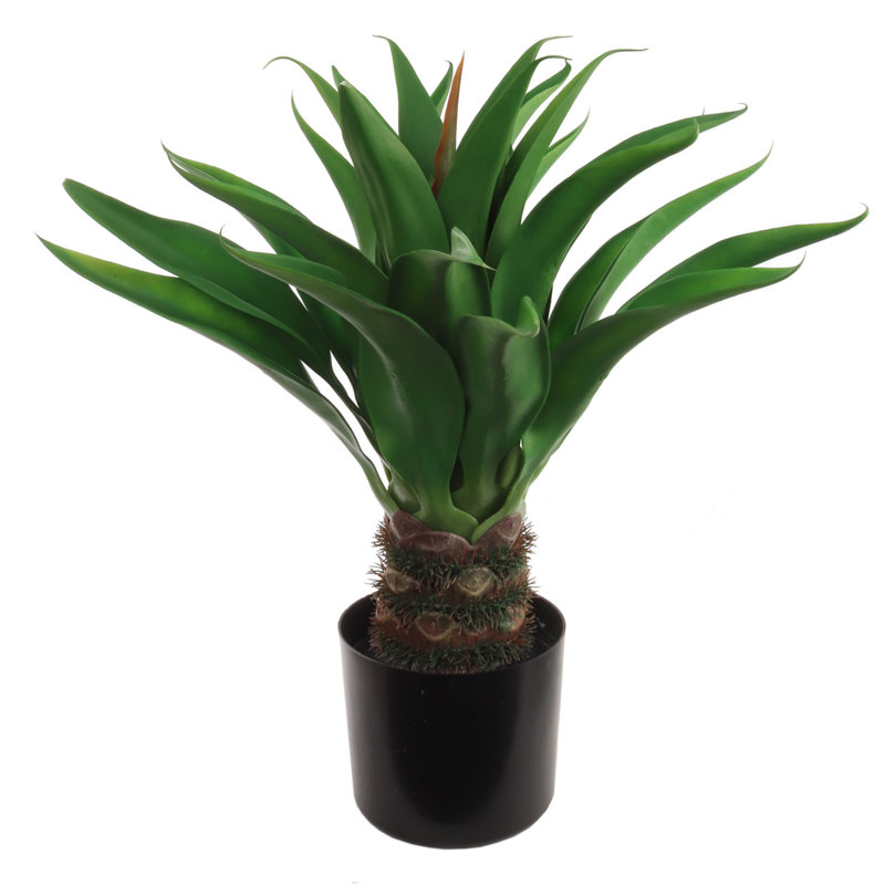 Plante grasse artificielle 24 po en pot