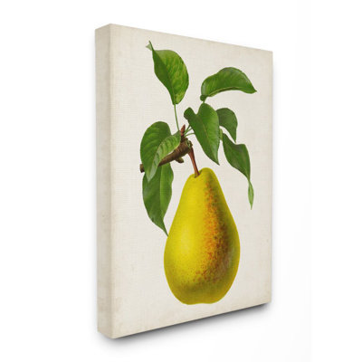 " Vintage Fruit Pear Painting "