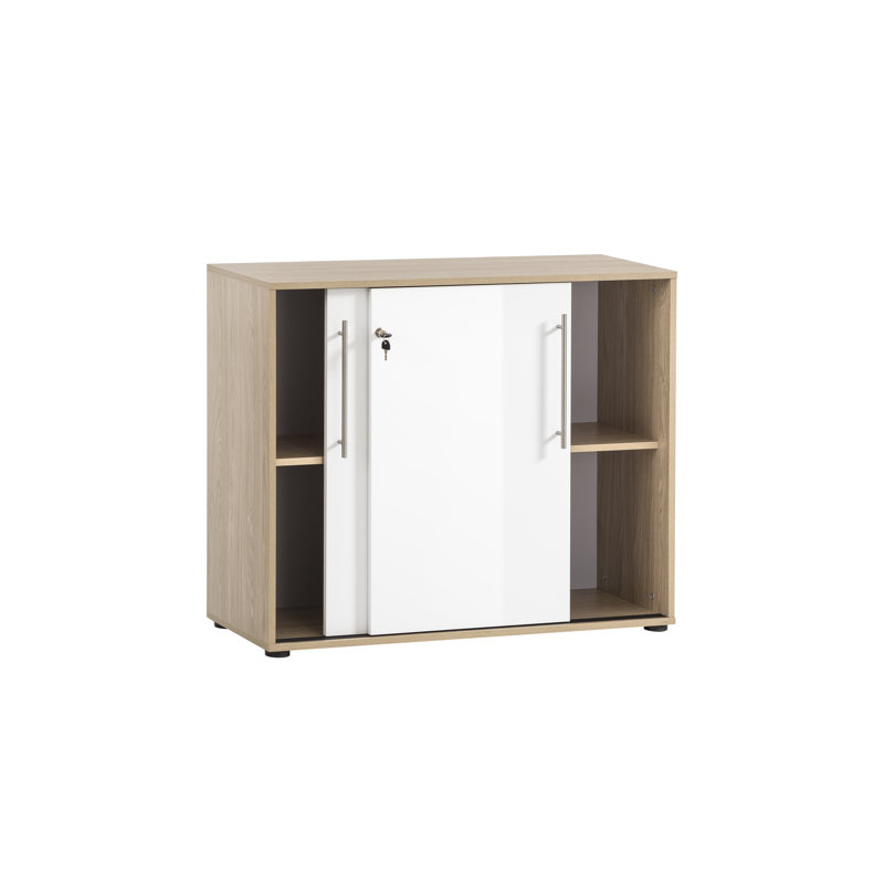 Kadyn 2 -Door Storage Cabinet