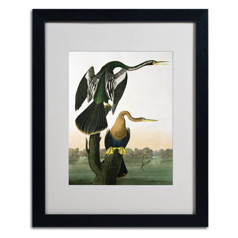 « dart-billed dart » par john james audubon, reproduction d’art encadrée, H 14 po x l 11 po x P 0,5 po, Noir