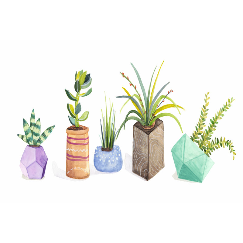 Succulent Display I by - Painting on, 30cm H x 46cm W x 3.8cm D