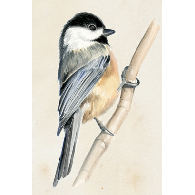 Petit oiseau sur une branche II