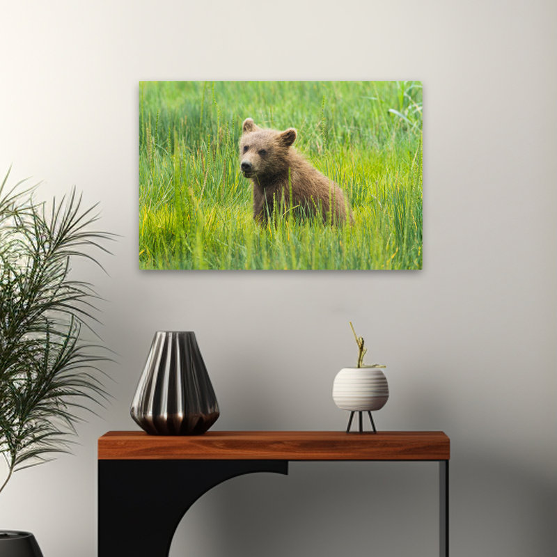 Ourson grizzly - Art animaux sauvages, H 24 po x l 16 po