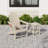 Lucus Weather Resistant Poly Adirondack Chair with Side Table-289754719