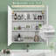 Soyini Wall Bathroom Cabinet