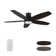 Emeris 52'' DC Motor Ceiling Fan with a LED Light and Remote control